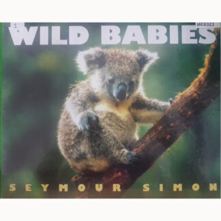 Wild Babies