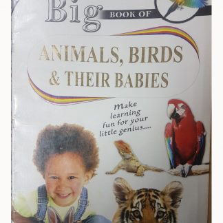My Big Of Animals,Birds & Their Babies