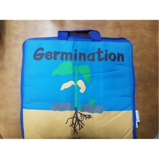 Germination