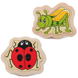 Ladybug and Grasshopper